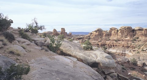 Framed Canyonland 11 Print