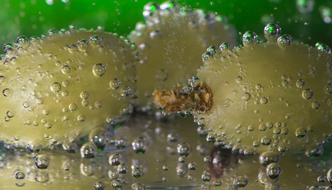 Framed Green Grapes Underwater Print