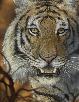 Framed Night Vision Print