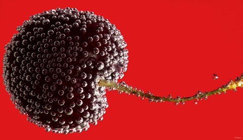 Framed Cherry Covered In Water Drops I Print