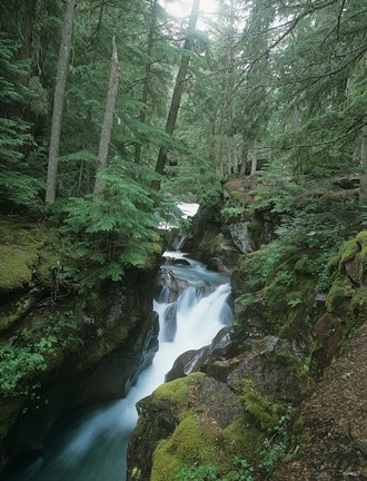 Framed Daytime Falls And Mossy Greenery Print