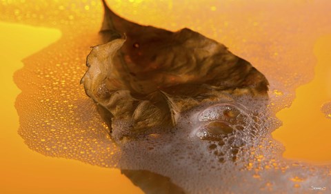 Framed Floating Fall Leaf II Print