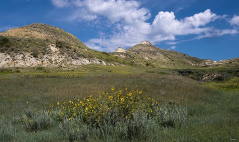 Framed Wildflowers And Mountiains With Clouds Print