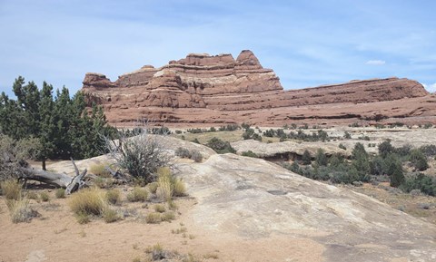 Framed Canyonland 21 Print
