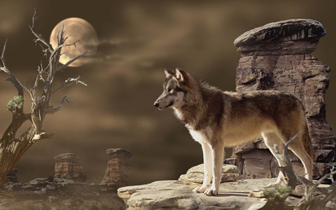 Framed Moonlighter 2 Print