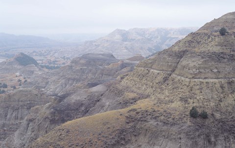 Framed Theodore Roosevelt National Park 39 Print