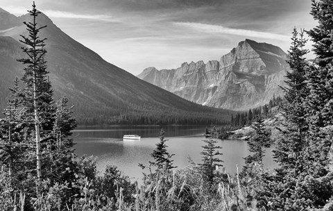 Framed Mountains Through Trees Print