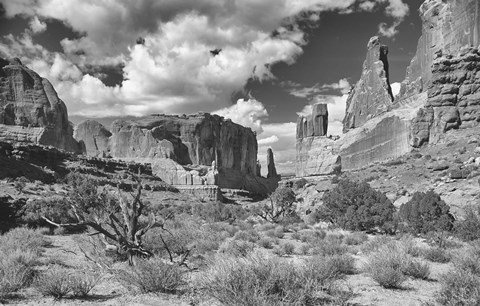 Framed Valley Of Rock And Shrubs Print