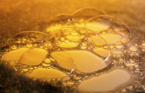 Framed Water Reflecting Yellow Print