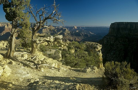 Framed Grand Canyon 6 Print