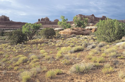 Framed Canyonland 15 Print