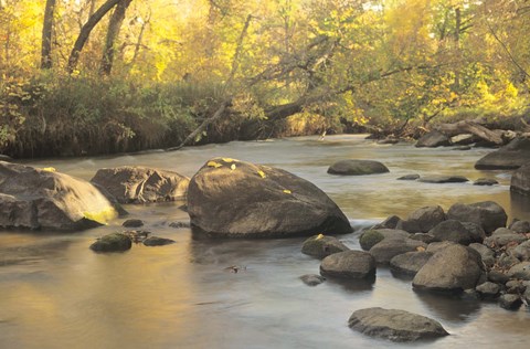 Framed Buffalo River 6 Print