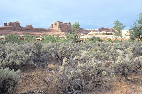 Framed Canyonland 16 Print