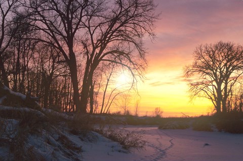 Framed Sunset And Tree Silhouettes In Snow II Print