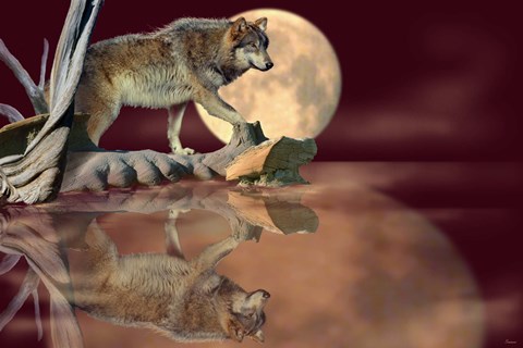 Framed Walking On The Moon Print