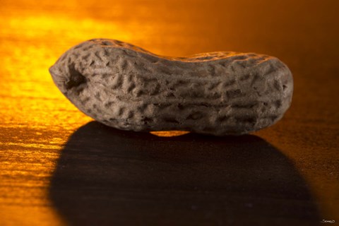 Framed Peanut On Bar Print