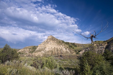 Framed Mountain And Green Field Print