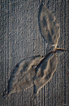 Framed Cement Autumn 1336 Print