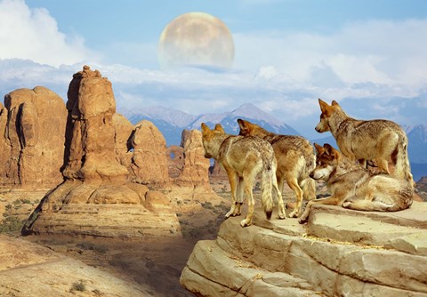 Framed Hot July Moon Print