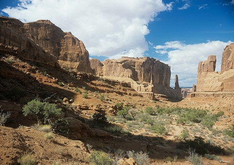 Framed Arches 7 Print