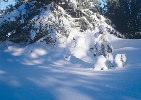 Framed Winter Snow Day Print