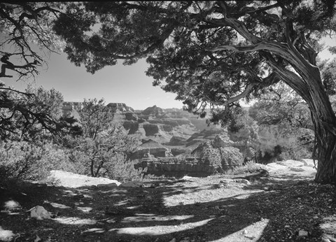 Framed Grand Canyon 8 Print