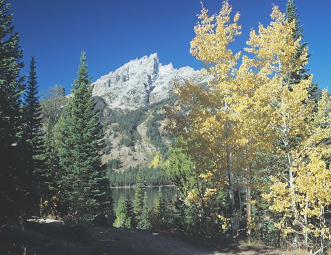 Framed Grand Teton 12 Print
