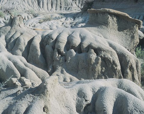 Framed Theodore Roosevelt National Park 20 Print