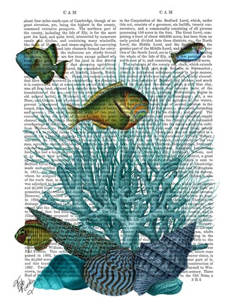 Framed Fish Blue Shells and Corals Print