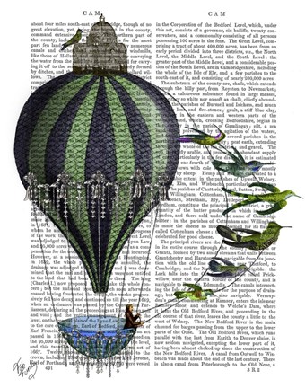 Framed Hot Air Balloon and Birds Print