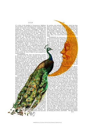 Framed Peacock on the Moon Print