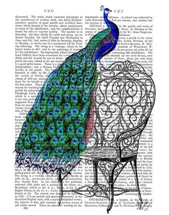 Framed Peacock on Chair Print