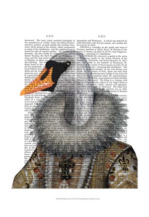 Framed Elizabethan Swan Print