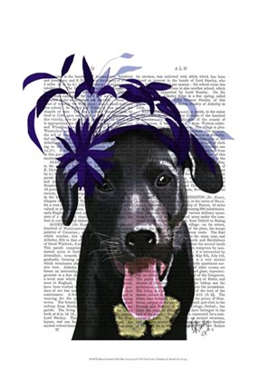 Framed Black Labrador With Blue Fascinator Print