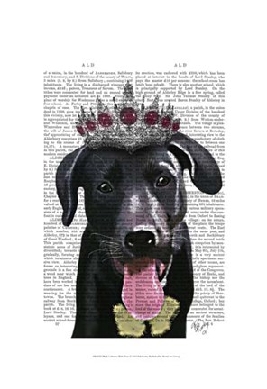 Framed Black Labrador With Tiara Print