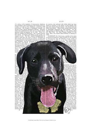 Framed Black Labrador Plain Print