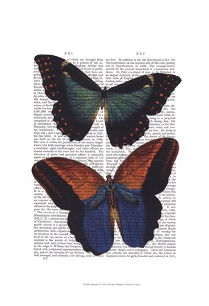 Framed Butterflies 4 Print