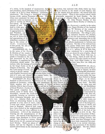 Framed Boston Terrier And Crown Print