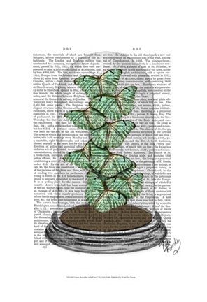 Framed Green Butterflies in Bell Jar Print
