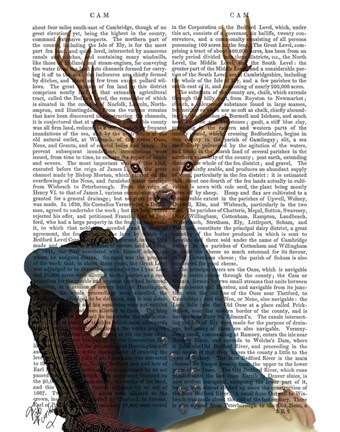 Framed Distinguished Deer Portrait Print