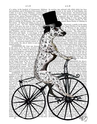 Framed Dalmatian on Bicycle Print