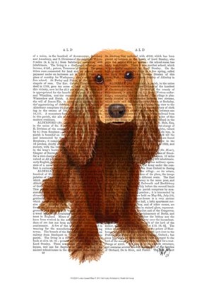 Framed Cocker Spaniel Plain Print