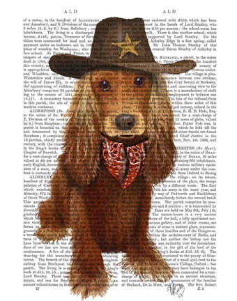 Framed Cocker Spaniel Cowboy Print