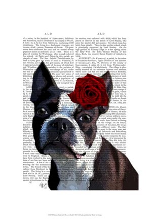 Framed Boston Terrier with Rose on Head Print