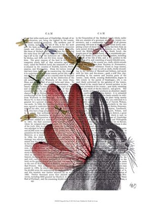 Framed Dragonfly Hare Print