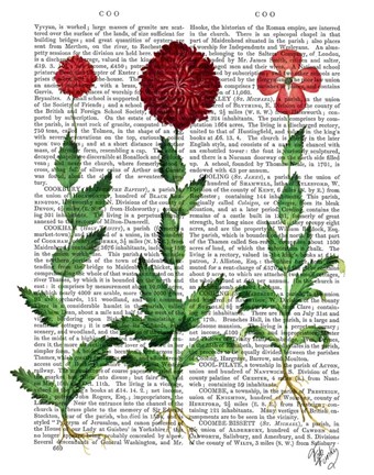Framed Italian Carnation 2 Print