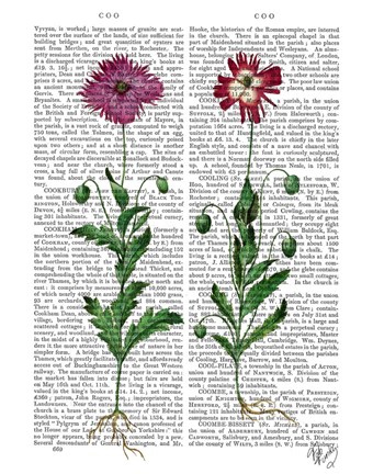 Framed Italian Carnation 3 Print