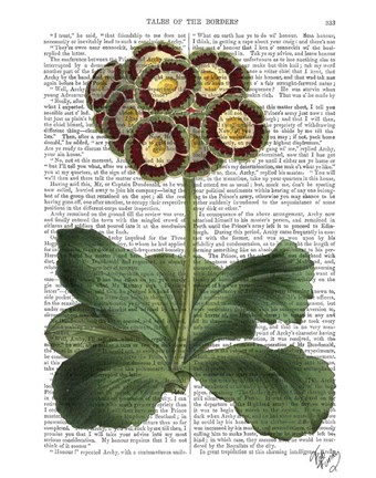 Framed Primula Auricula Red Print