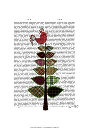 Framed Tartan Tree Illustration Print