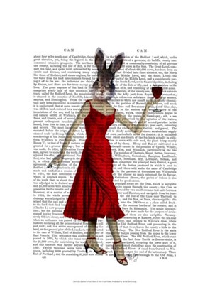 Framed Rabbit in Red Dress Print